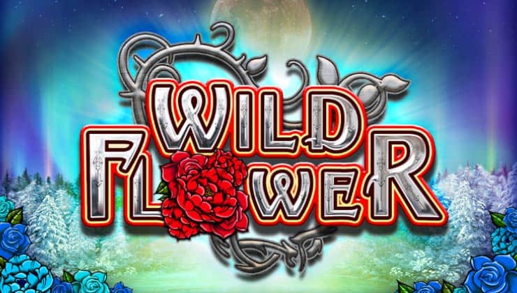 Wild Flower slot cover image