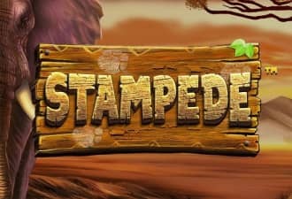 Stampede slot cover image