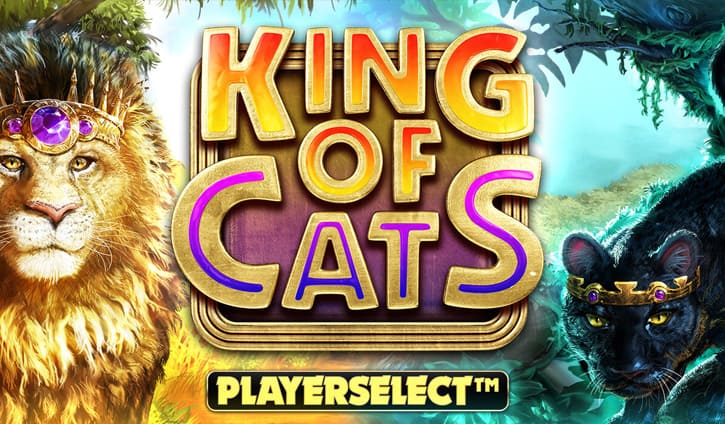 King of Cats slot cover image