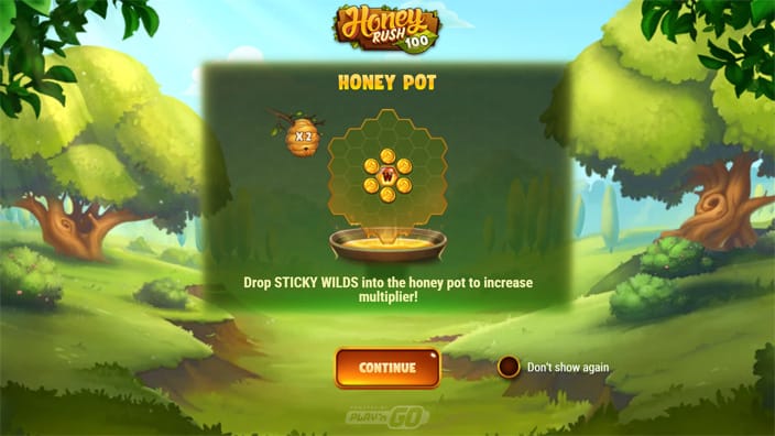 Honey Rush 100 slot features