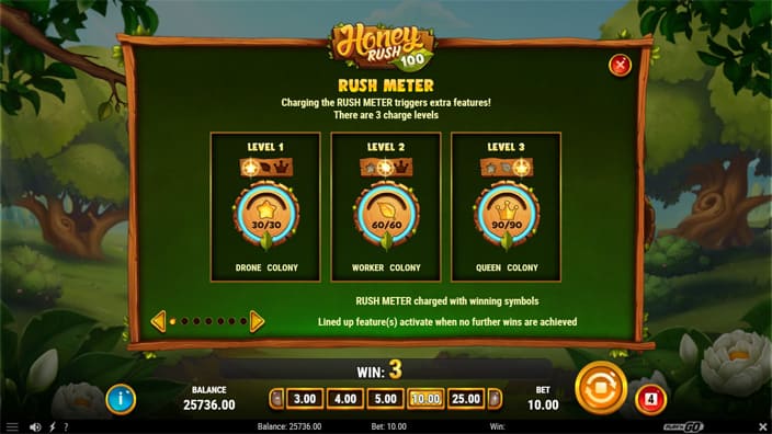 Honey Rush 100 slot rush meter feature