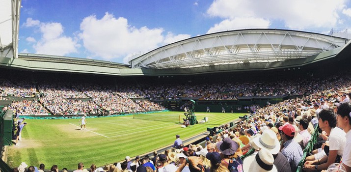 wimbledon-2023-betting-tips-insight