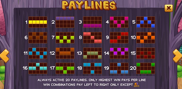 Bonus tiime slot payline