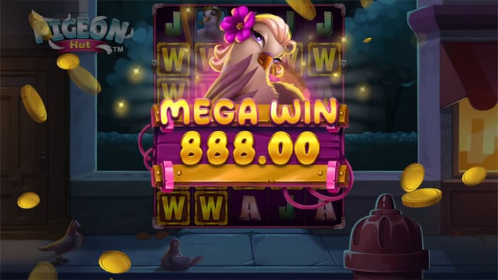 Pigeon Hut slot big win