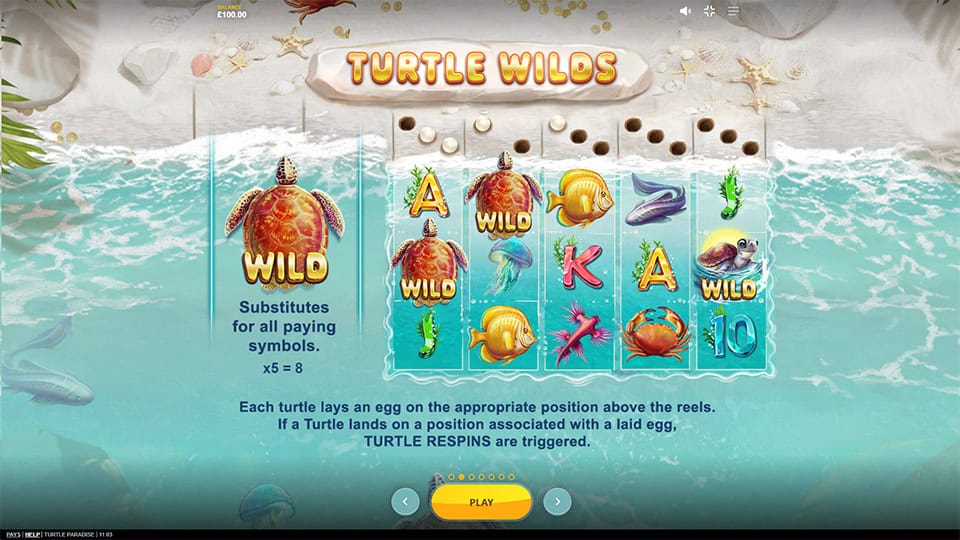 Turtle Paradise slot feature turtle wilds