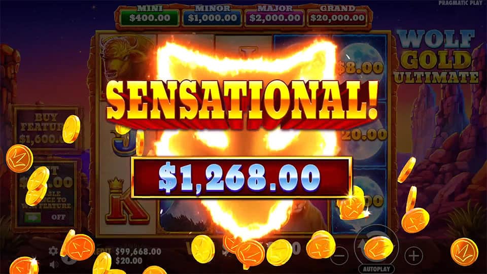 Wolf Gold Ultimate slot big win