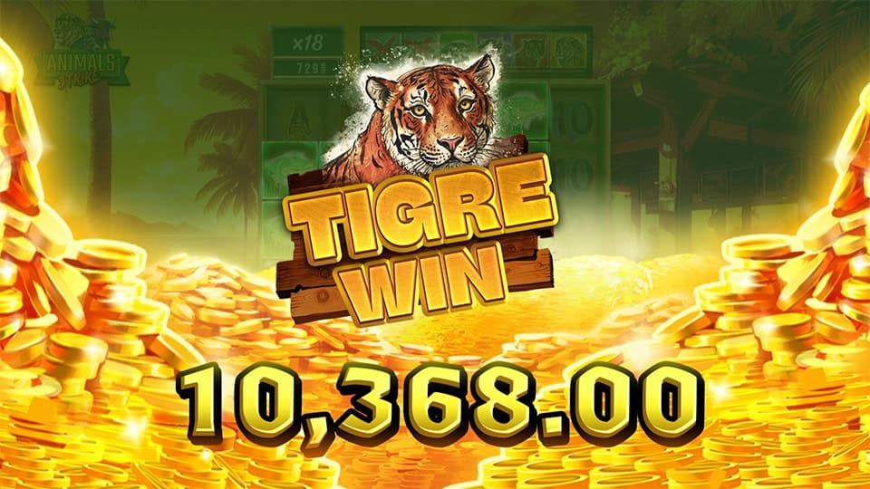 Animals Strike slot big win