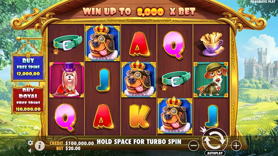 Preview of The Dog House Royal Hunt slot showing reels with royal dogs, dog collars, and themed symbols.